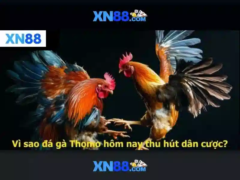 'Sản phẩm và dịch vụ của xn88'
