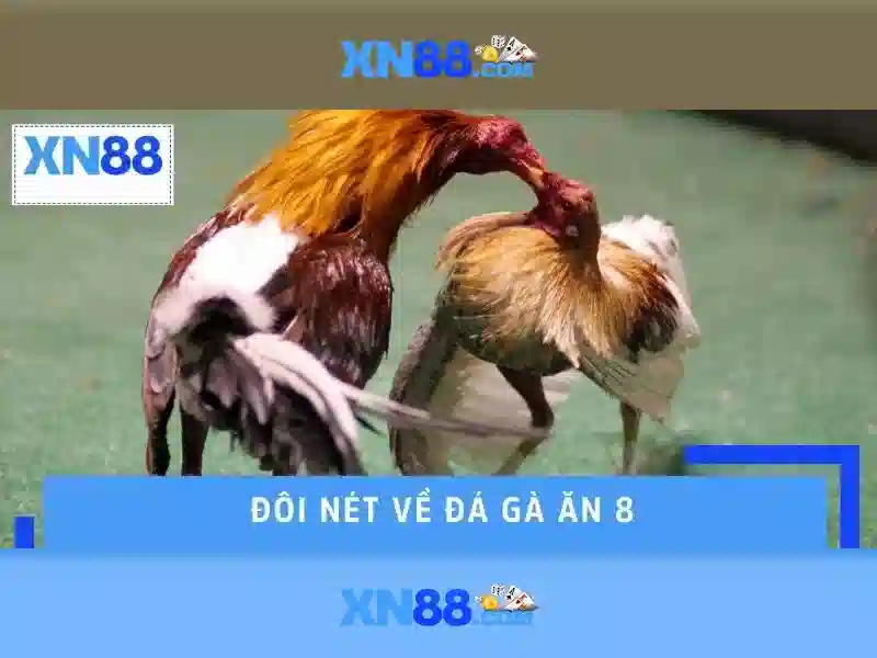 Nguồn gốc và ý nghĩa của xn88