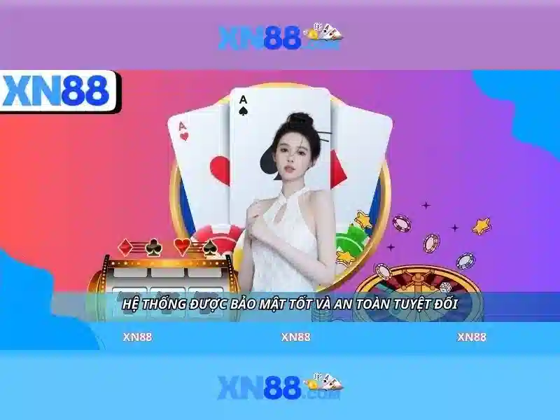 Đánh giá từ người dùng và kết luận