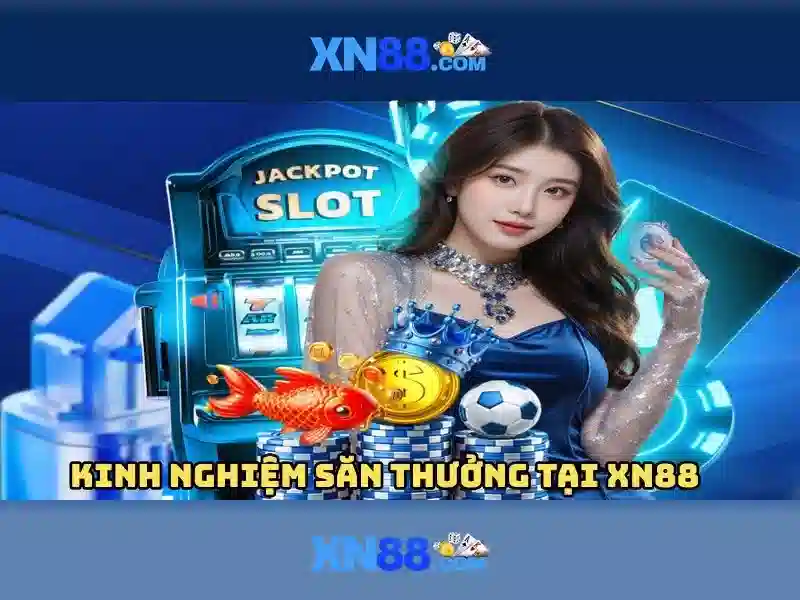 Kinh nghiệm người dùng và lưu ý