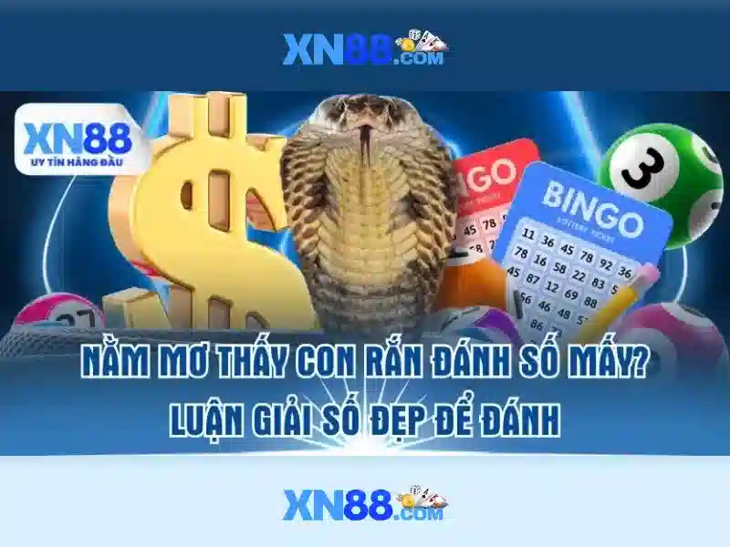 Các tính năng nổi bật của xn88