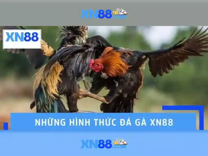 Hướng dẫn đăng ký và nạp tiền