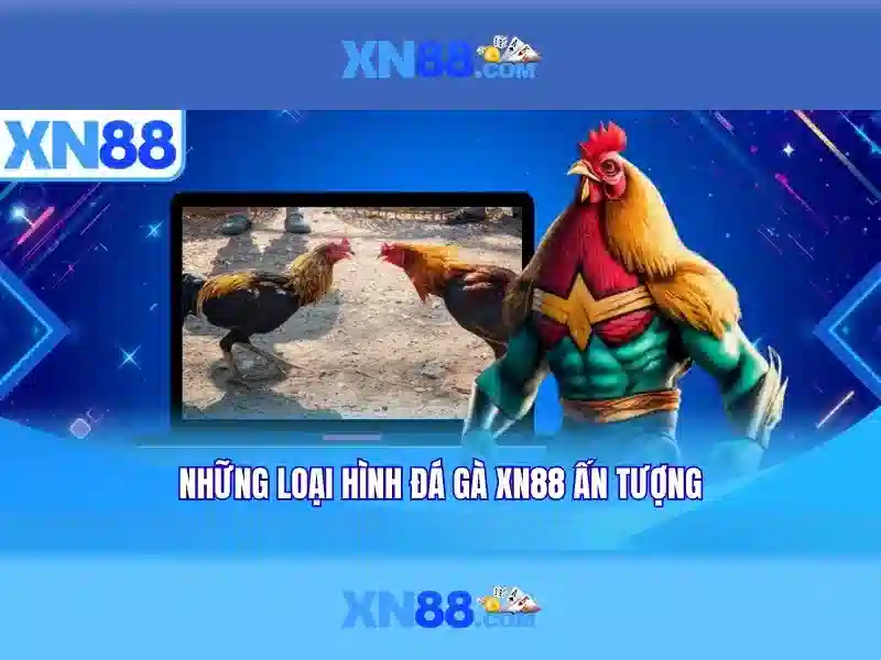 Nền tảng và giao diện