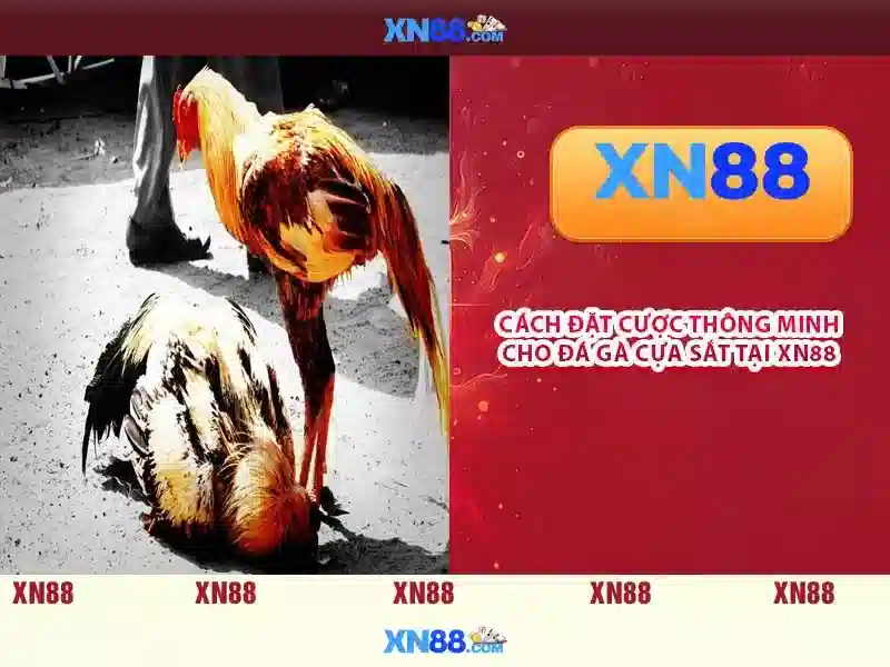 https://gospel2me.com/images/text/xn88/xn88-text26031209.webp Lịch sử và phát triển