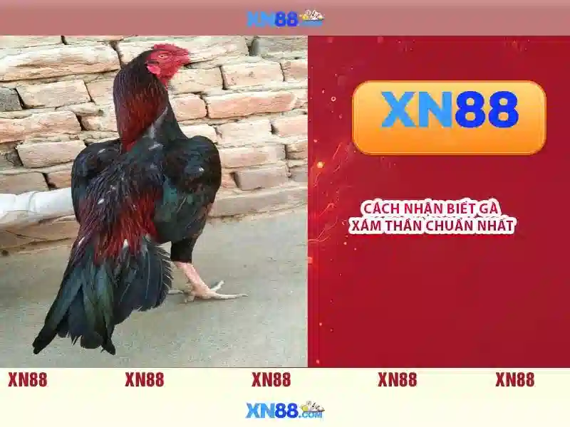 Tính năng cốt lõi
