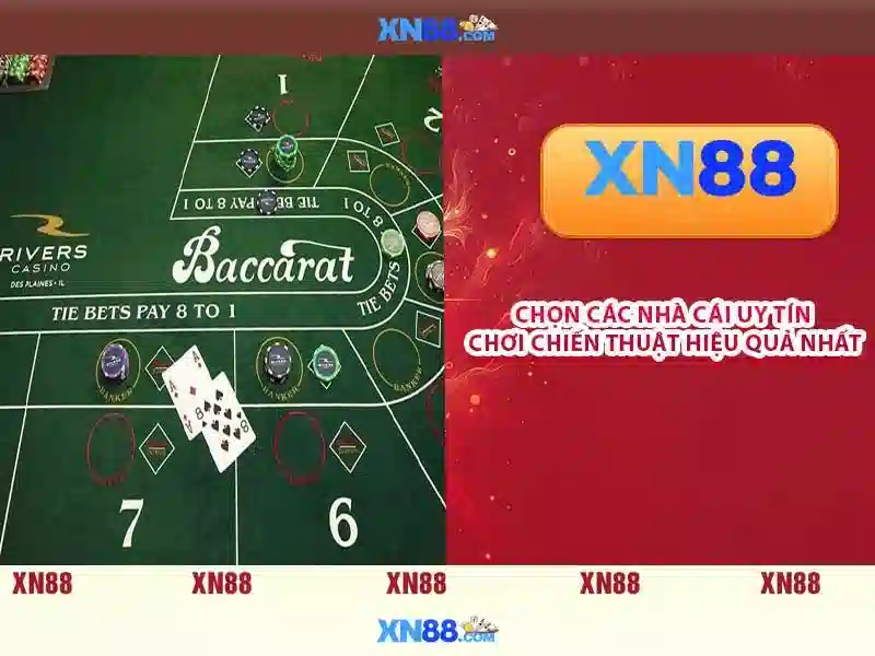 xn88: nền tảng sáng tạo và cộng đồng công nghệ