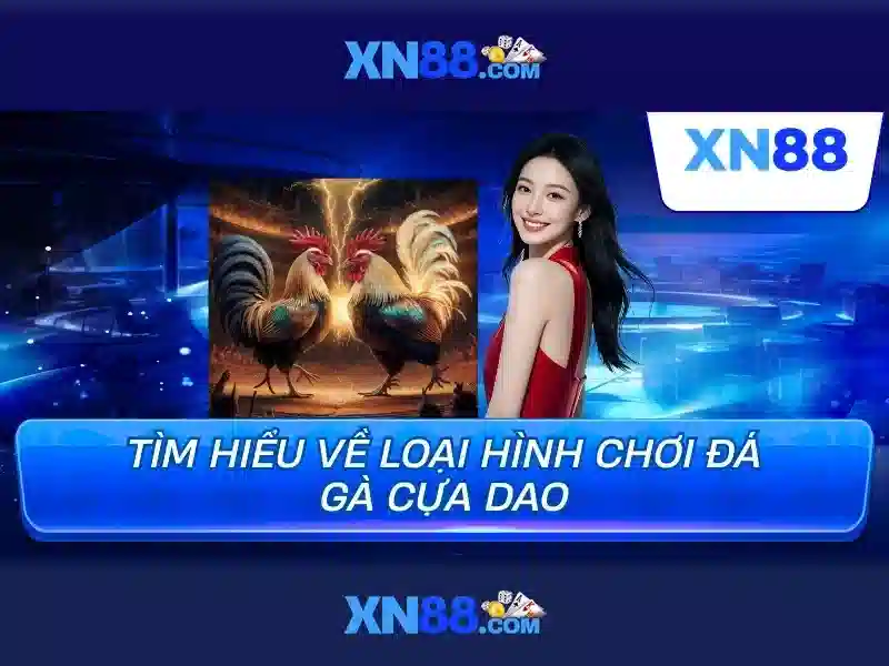 xn88: Giới thiệu nền tảng cá cược trực tuyến
