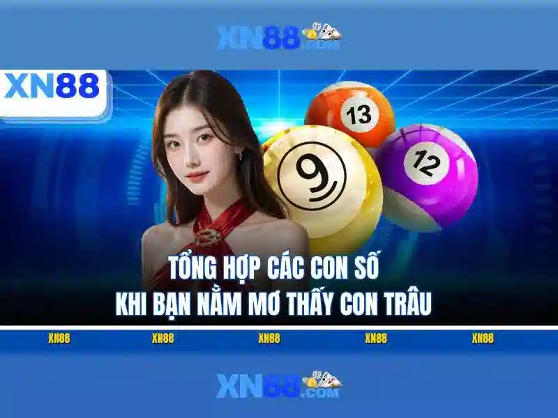 An toàn và trách nhiệm khi chơi