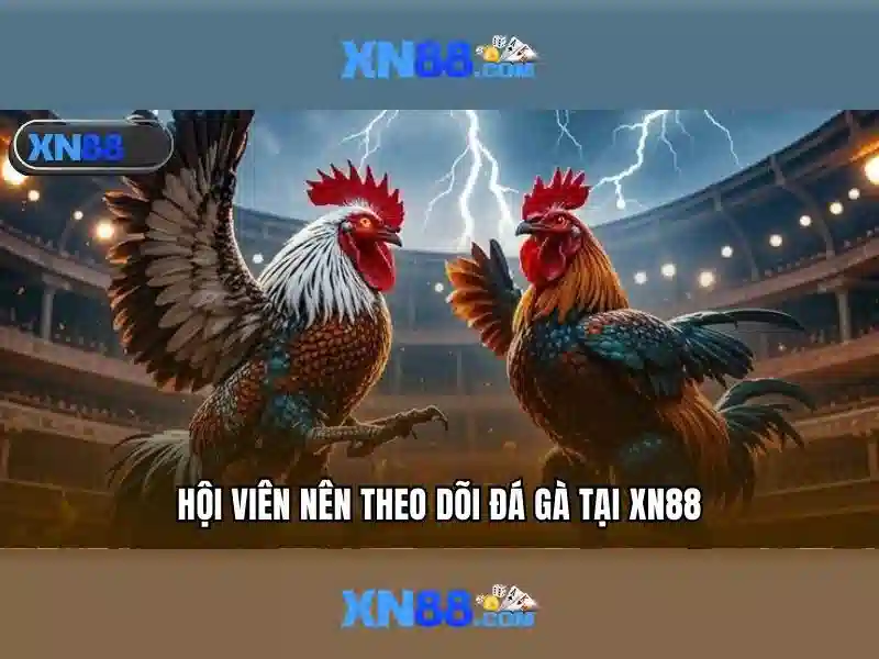 XN88 là gì và hướng dẫn tổng quan Giao diện nhà cái hoàn hảo
