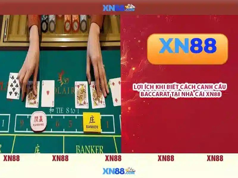 xn88 lucky – Khám phá thương hiệu và trải nghiệm đỉnh cao