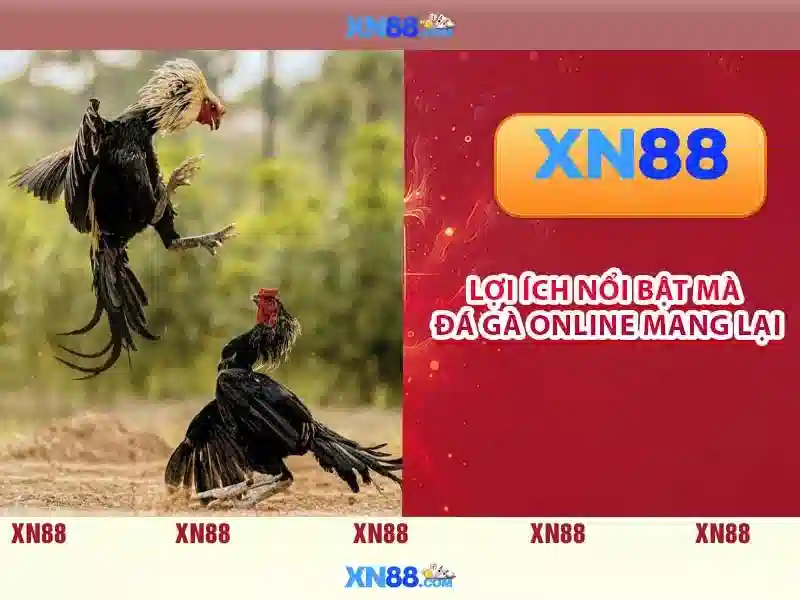 xn88 bshrf – Tổng quan và Giá trị cốt lõi cho thương hiệu số Giao diện nhà cái hoàn hảo