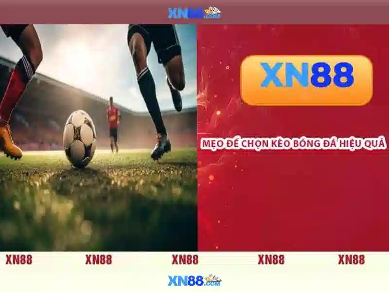 Kết nối và cộng đồng