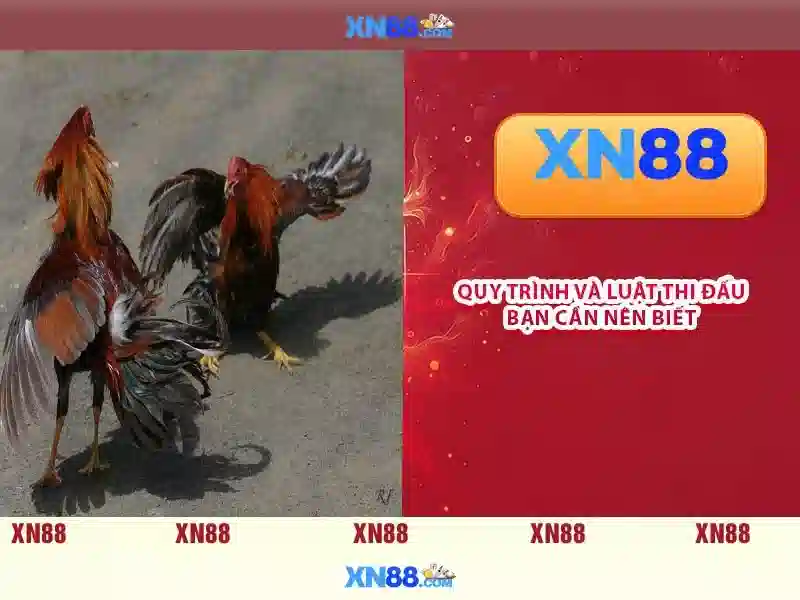 Giao diện nhà cái hoàn hảo