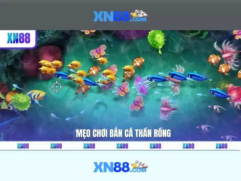 Lịch sử và nguồn gốc của xn88