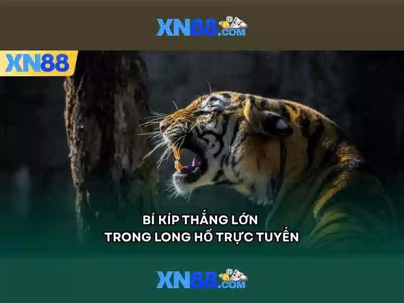 Hệ thống bảo mật và giấy phép