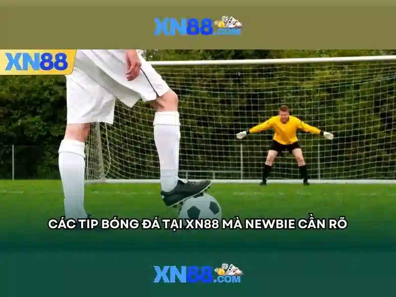 'Lịch sử của xn88'