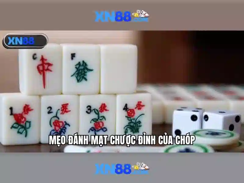 Các đặc điểm nổi bật