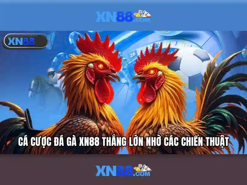 Giao diện nhà cái hoàn hảo