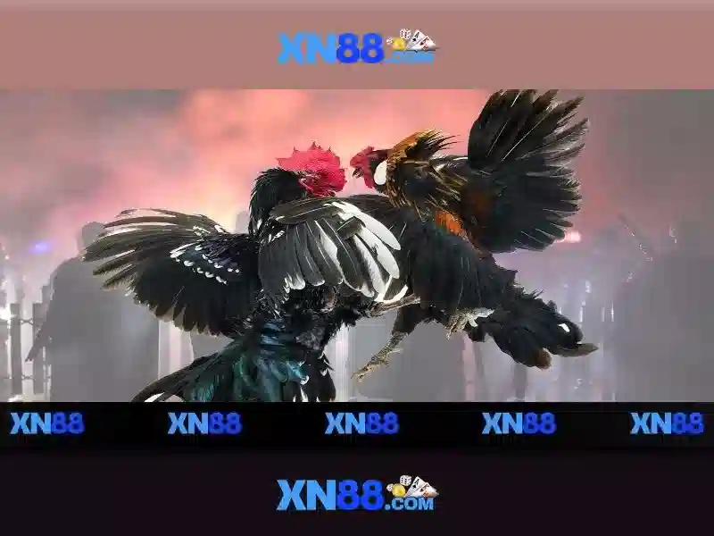 Giao diện nhà cái hoàn hảo