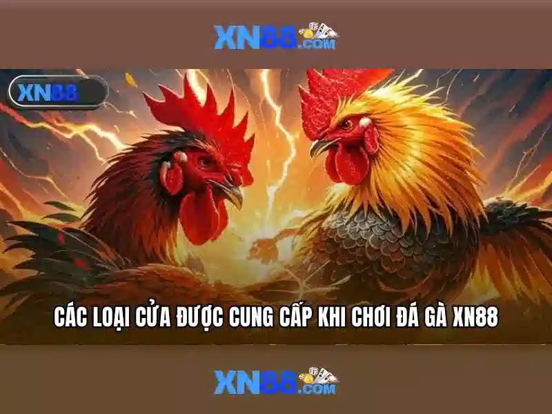 xn88: Nền tảng cá cược trực tuyến và cộng đồng người chơi