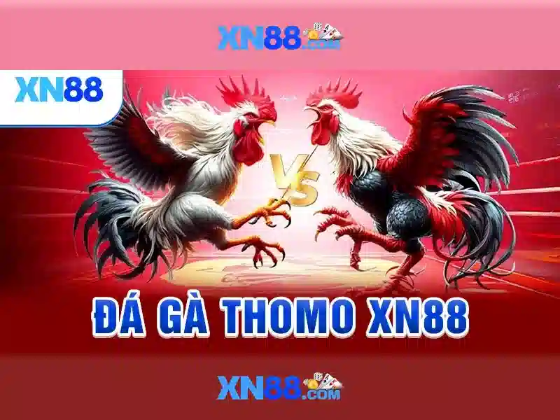 Các trò chơi và tính năng của xn88 