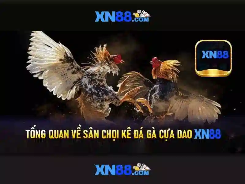 xn88: Nền tảng giải trí trực tuyến nổi bật ở châu Á