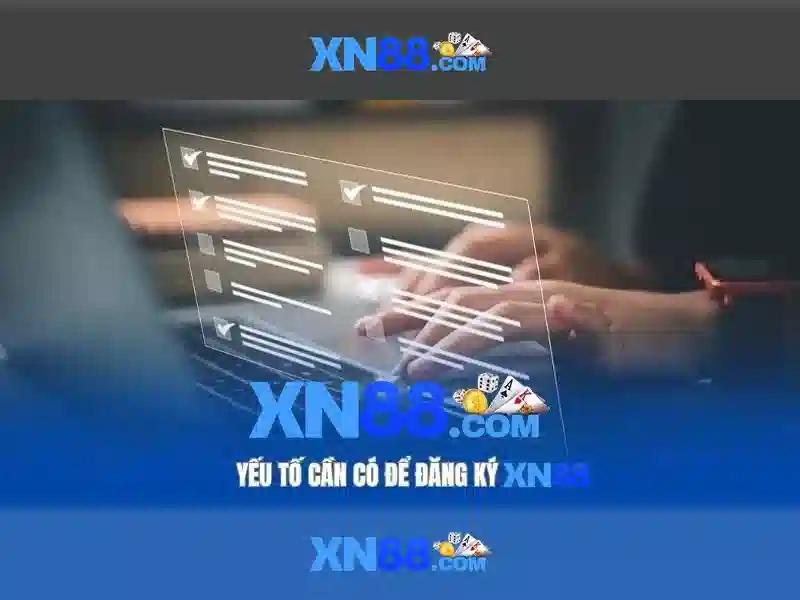 Trải nghiệm người dùng và phản hồi