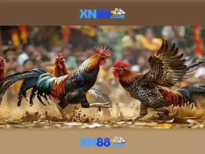 https://gospel2me.com/images/text/xn88/xn88-text1113.webp Lịch sử và nguồn gốc