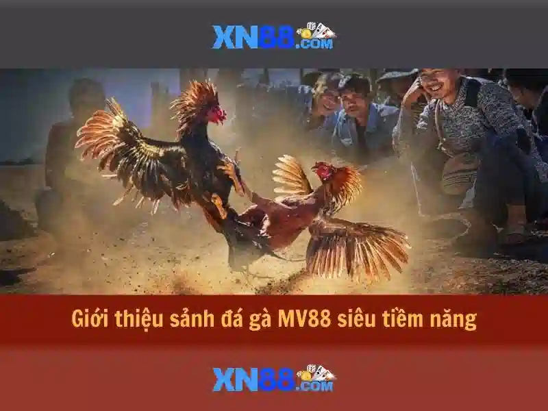 Giao diện nhà cái hoàn hảo