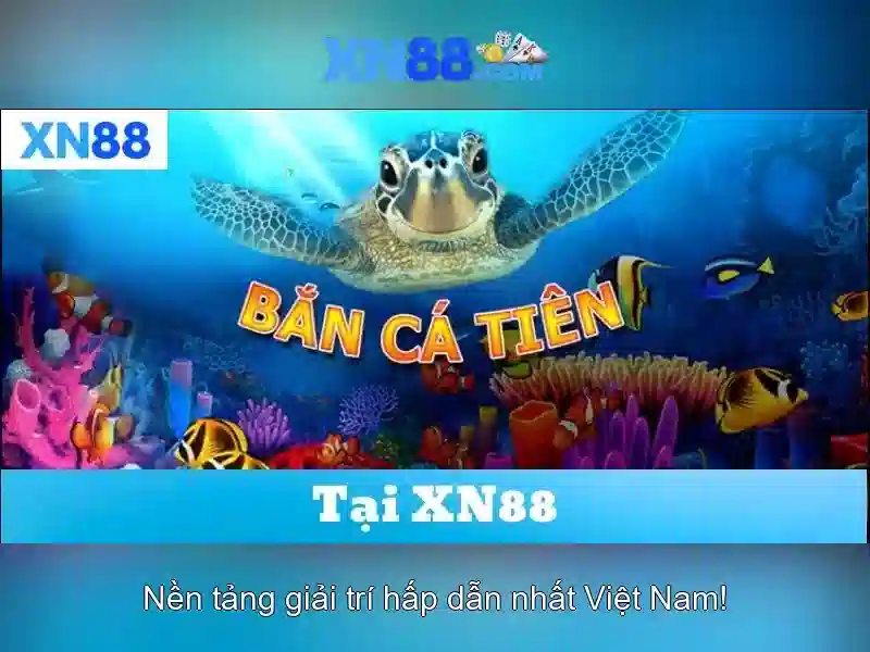 xn88: Nền tảng giải trí trực tuyến và trải nghiệm người dùng