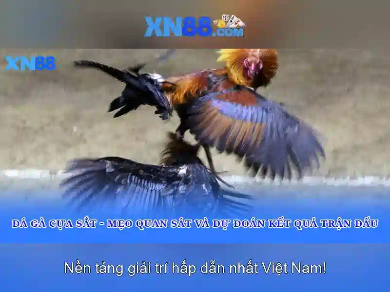 https://gospel2me.com/images/text/xn88/xn88-text2603302416.webp Góc nhìn tổng quan về nền tảng