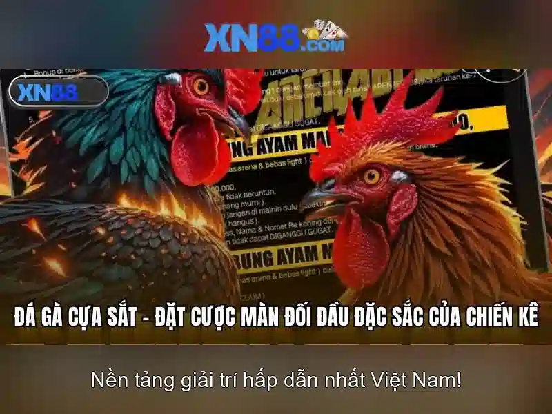 https://gospel2me.com/images/text/xn88/xn88-text260331509.webp Lịch sử và phát triển