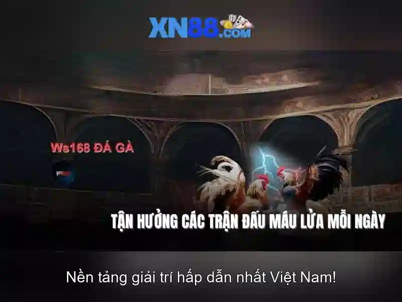 xn88 gaming – Tóm lược chủ đề và giá trị cốt lõi