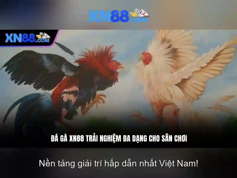xn88: Nền tảng cá cược trực tuyến nổi bật ở châu Á
