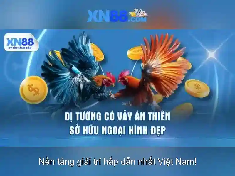 https://gospel2me.com/images/text/xn88/xn88-text2603311129.webp Tính năng nổi bật