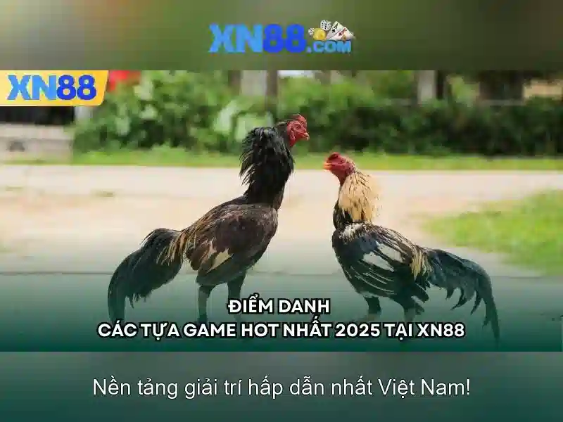 Giao diện nhà cái hoàn hảo