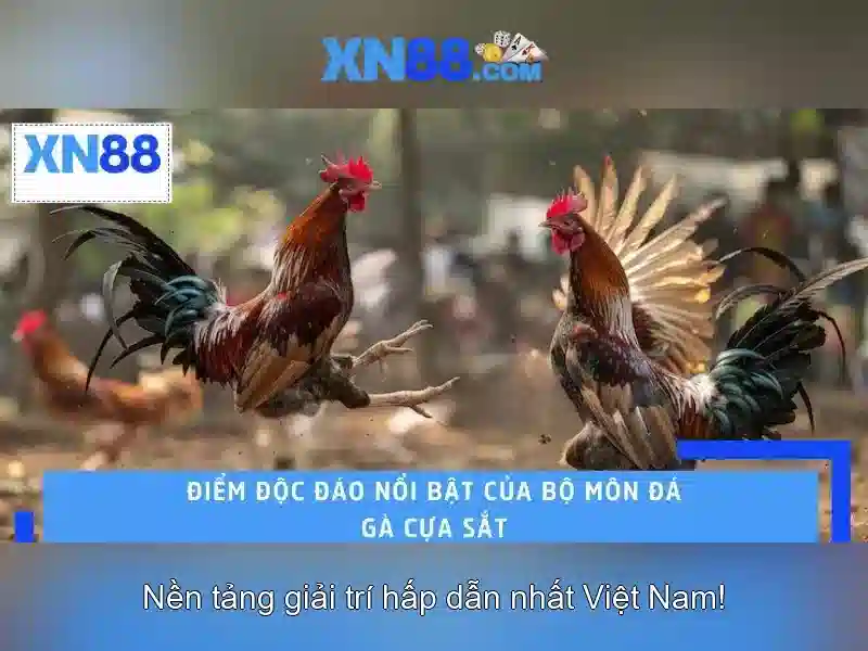 Giao diện và trải nghiệm