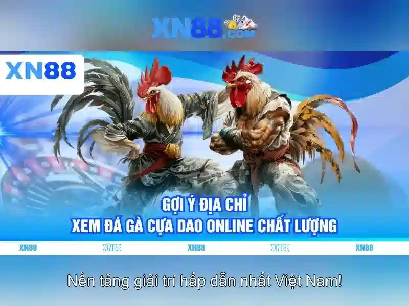 Xn88: Nền tảng đổi mới và cơ hội số Giao diện nhà cái hoàn hảo