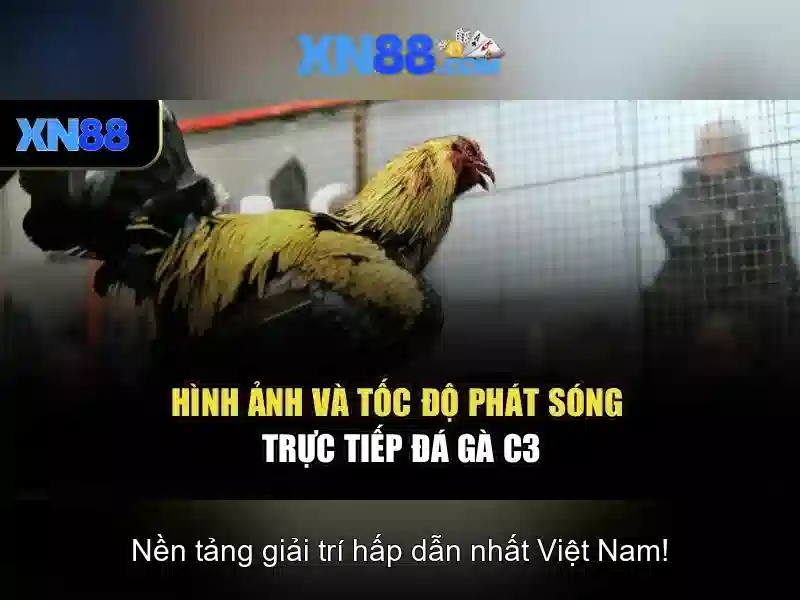 xn88: Đôi nét về nền tảng và trải nghiệm người dùng