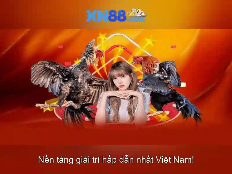 An toàn và trách nhiệm khi chơi