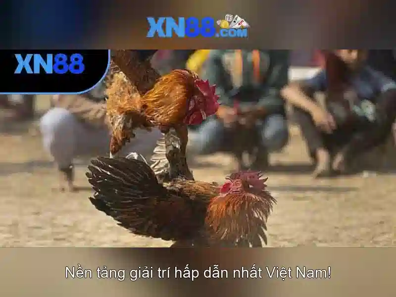 xn88: Nền tảng giải trí trực tuyến và trò chơi casino