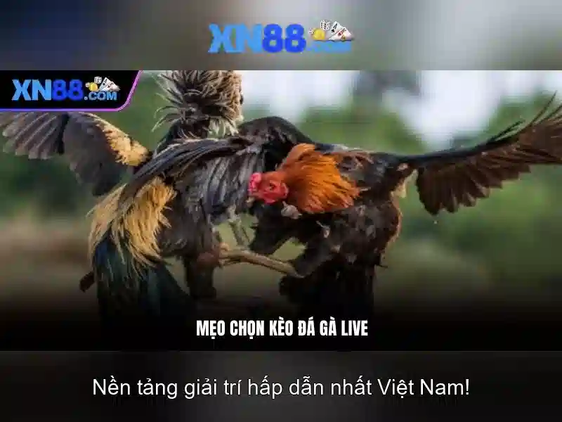 https://gospel2me.com/images/text/xn88/xn88-text2603301637.webp Tính năng bảo mật và an toàn