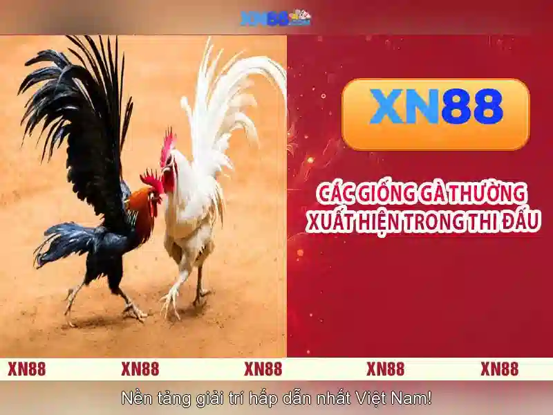 Giao diện nhà cái hoàn hảo