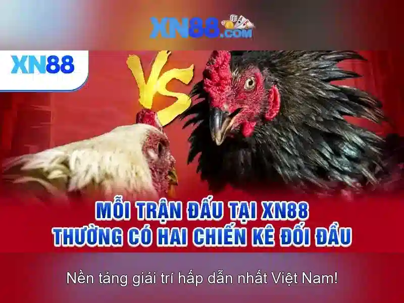 https://gospel2me.com/images/text/xn88/xn88-text2603122527.webp Đội ngũ hỗ trợ khách hàng