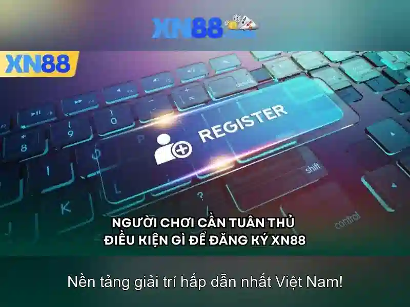 Lĩnh vực hoạt động của xn88