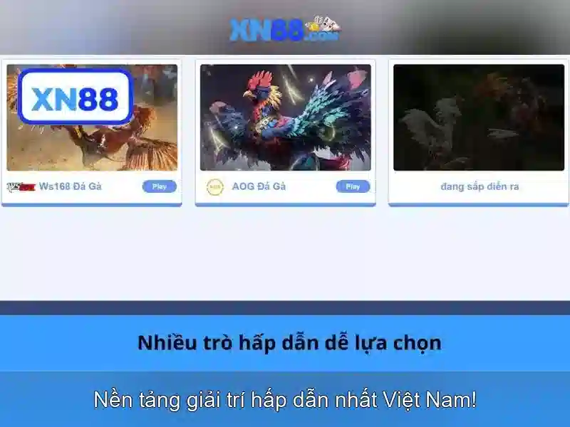 xn88: Nền tảng trực tuyến và trải nghiệm giải trí