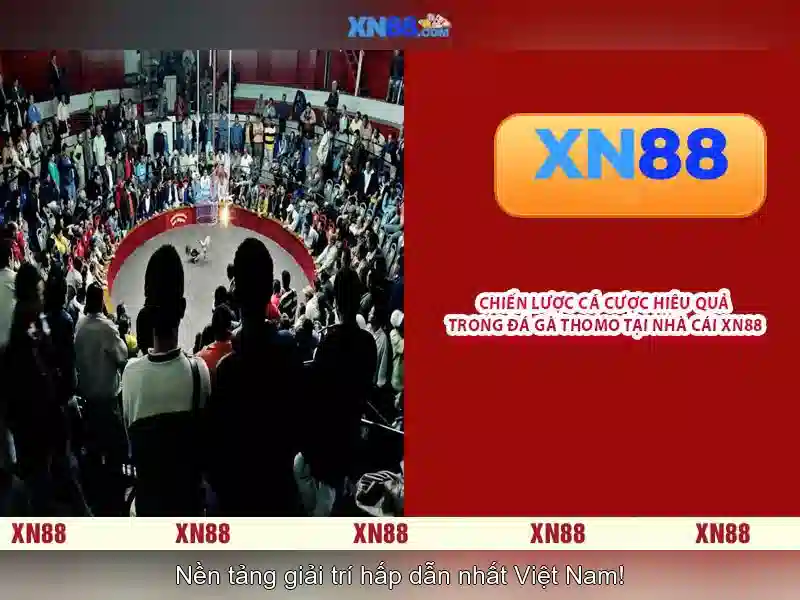 https://gospel2me.com/images/text/xn88/xn88-text2603311574.webp Các ứng dụng và cộng đồng sử dụng xn88