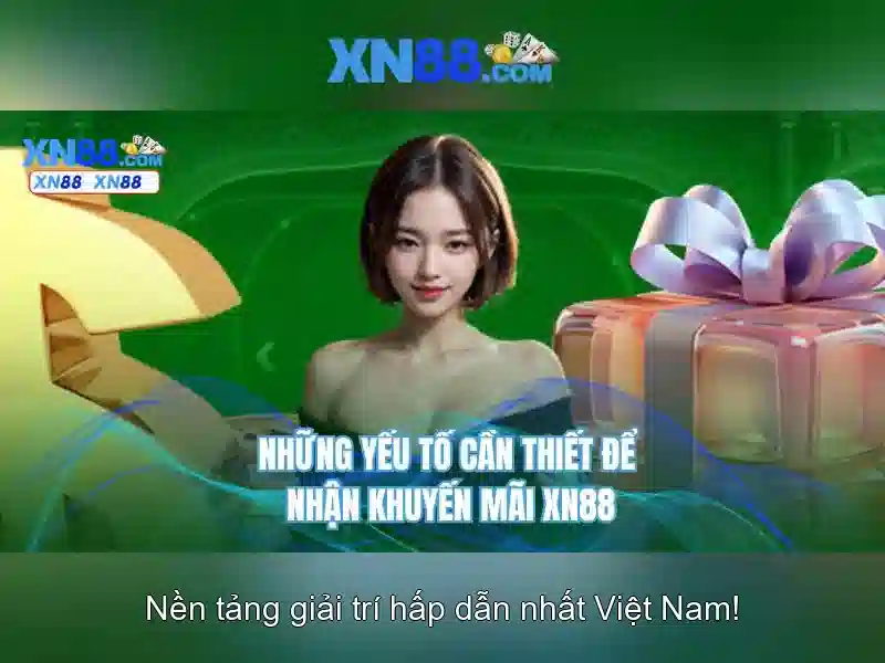 Nền tảng và cấp phép
