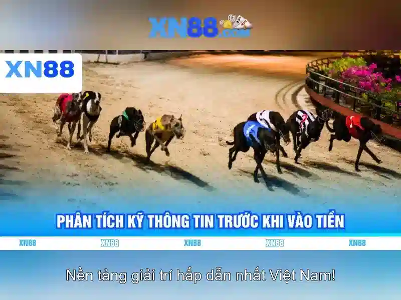 Xn88: Nền tảng giải trí và cộng đồng
