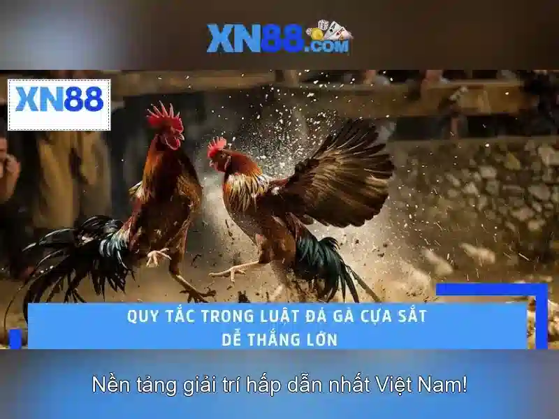 Cộng đồng và đóng góp